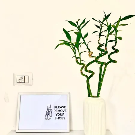 Stanza E Bagno Privato, Idromassaggio Con Extra Fee, In 3* 페라라