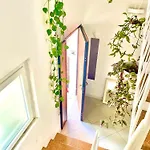 Stanza E Bagno Privato, Idromassaggio Con Extra Fee, In Frühstückspension 3*