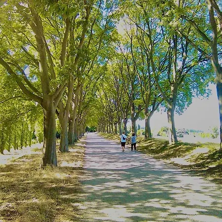 Bed & Breakfast Stanza E Bagno Privato, Idromassaggio Con Extra Fee, In