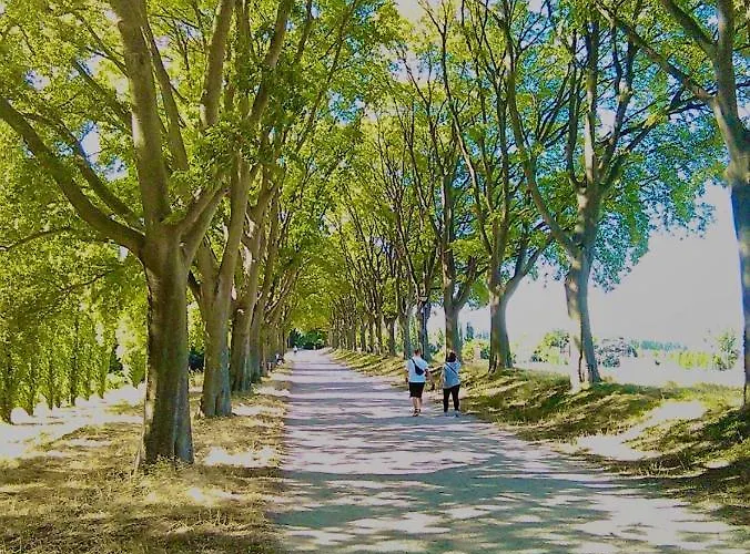 Bed & Breakfast Stanza Con Bagno Privato Con Idromassaggio In Delizioso